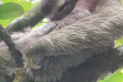 20180328_082119